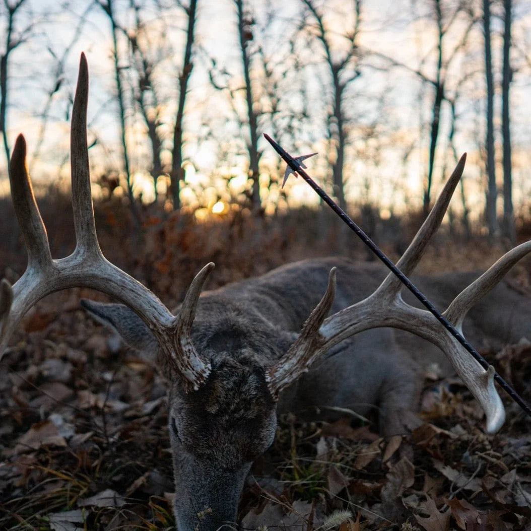 Swhacker Broadhead #202 125 gr