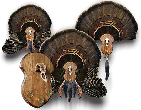 Ultimate Turkey Mounting Kit