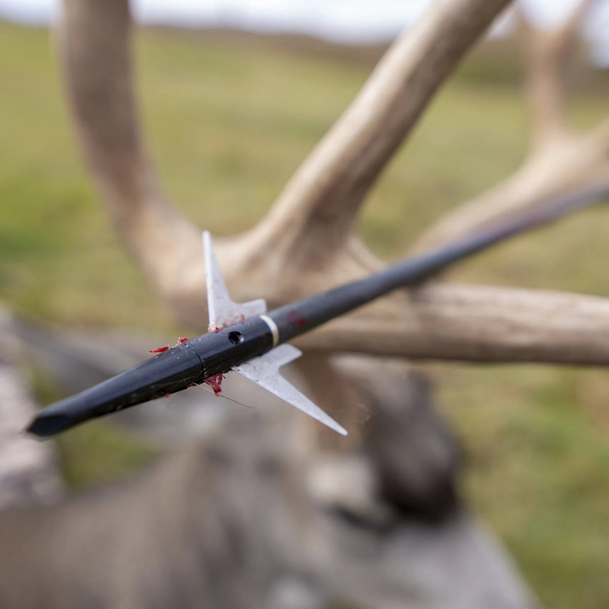 Swhacker Broadhead #202 125 gr