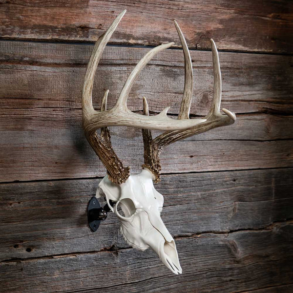 Skull Master European Style Mounting Kit