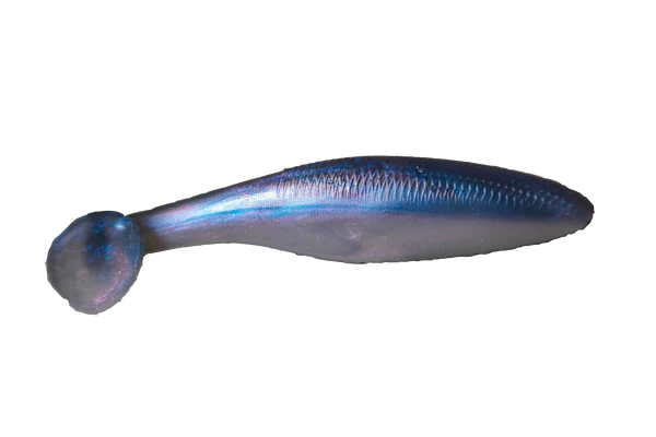 Bait Cave Cave Swimmer