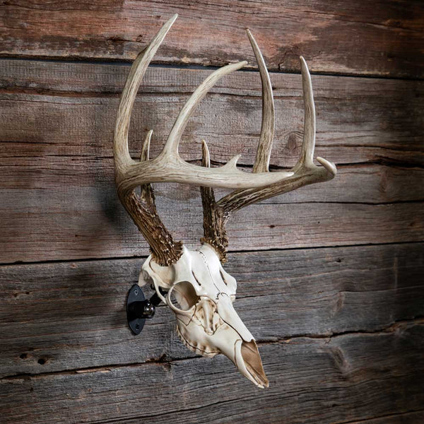 Skull Master European Style Mounting Kit