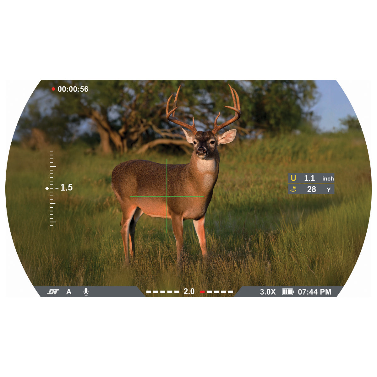 Vision HD Digital Rangefinding Crossbow Scope