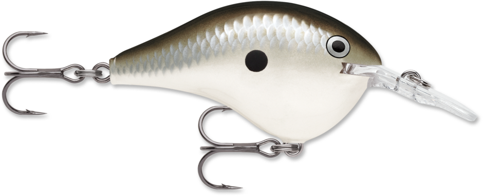 Rapala DT 6 Series