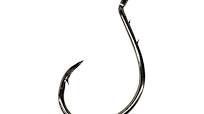 Eagle Claw Lazer Sharp Non-Offset Circle Baitholder Hook