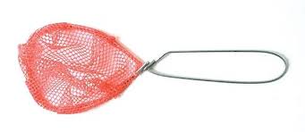 Eagle Claw large minnow dip net