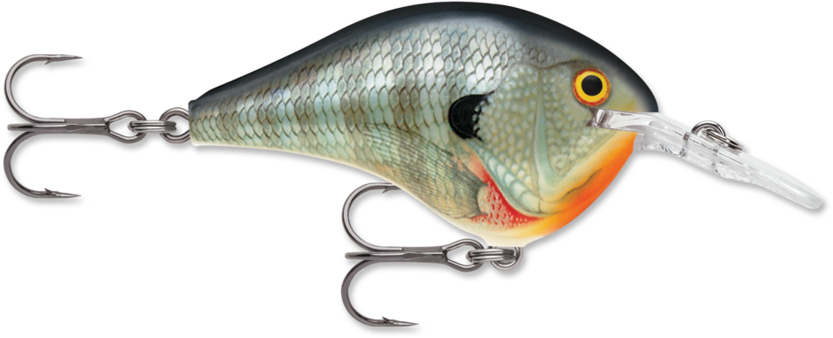 Rapala DT 6 Series