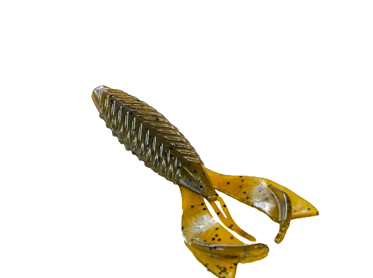 Bait Cave Cave Cricket