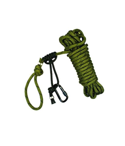 Millennium Safe Link