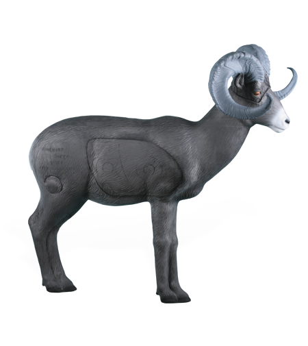 NASP Standing Stone Sheep 3D Target Blemished