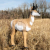 Indoor 3D Target Stand-Medium