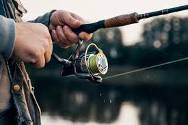 Reels