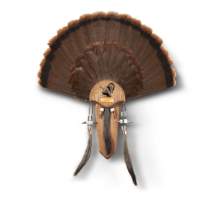 H S Strut 3 Beard Mounting Plate