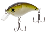 ATV Squarebill