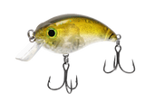 ATV Squarebill