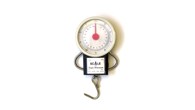 Eagle Claw 50 lb Scale with Tape Measure