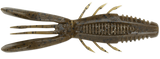 Bronco Bug