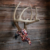 Skull Master European Style Mounting Kit