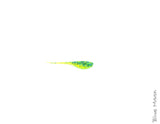 Big T Fry Baby 2"