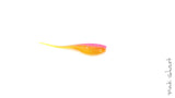 Big T Fry Baby 2"