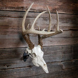 Skull Master European Style Mounting Kit