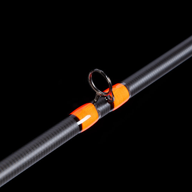 Whisker Seeker Catfish/Carp Rod Casting