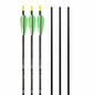 Easton Genesis Arrows 6pk