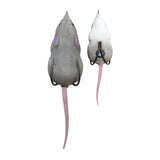 Furenzy Mouse