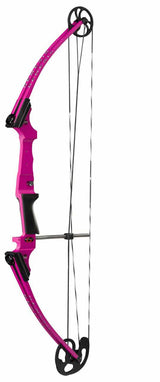 Genesis Bow