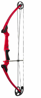 Genesis Bow