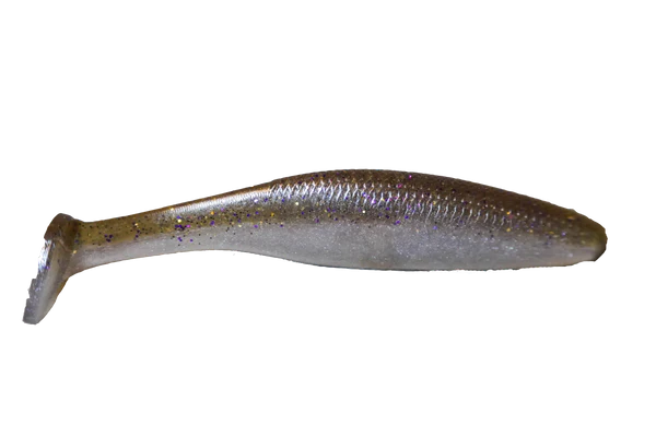 Bait Cave Cave Swimmer