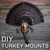 Turkey Plaque