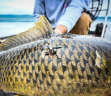 Mega Mouth Quad Lock 4 Barb Point