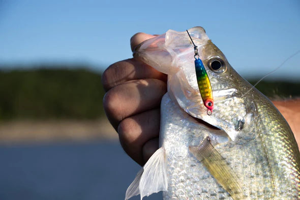 Crappie Bombs