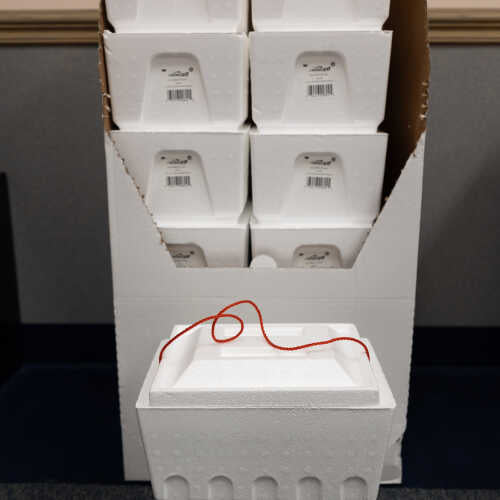 Styrofoam 12 Can Picnic Cooler