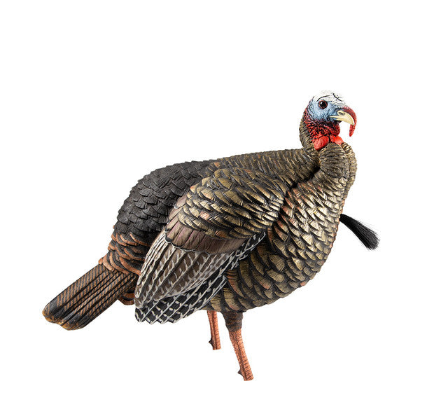 Avian X HDR Jake Decoy