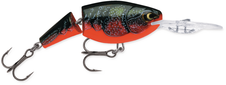 Jointed Shad Rap