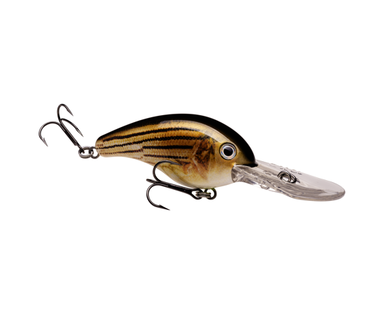 Strike King ProModel 10XD Crankbait