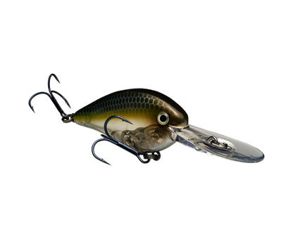 Strike King KVD 1.5 Flatside Crankbait