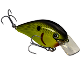 Strike King KVD 1.5 Hard Knock Crankbait