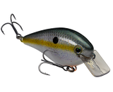Strike King KVD 1.5 Hard Knock Crankbait