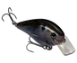 Strike King KVD 1.5 Hard Knock Crankbait