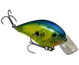 Strike King KVD 1.5 Hard Knock Crankbait