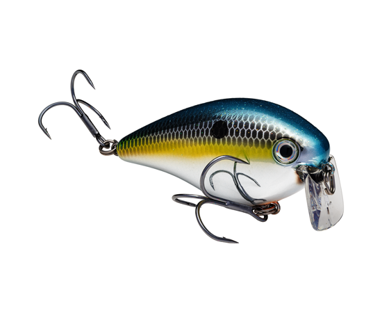 Strike King KVD2.5 Wake Bait