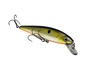 Strike King KVD Jerk Bait 200