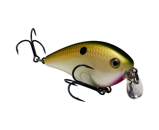 Strike King KVD Shallow SquareBill