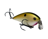 Strike King KVD Shallow SquareBill