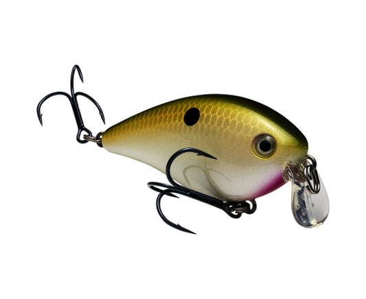 Strike King KVD Shallow SquareBill