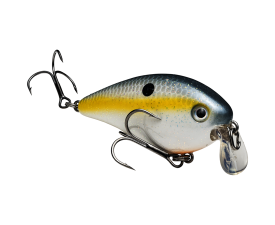 Strike King KVD Shallow SquareBill