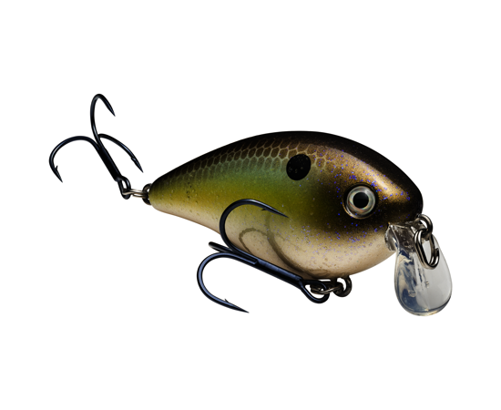 Strike King KVD Shallow SquareBill